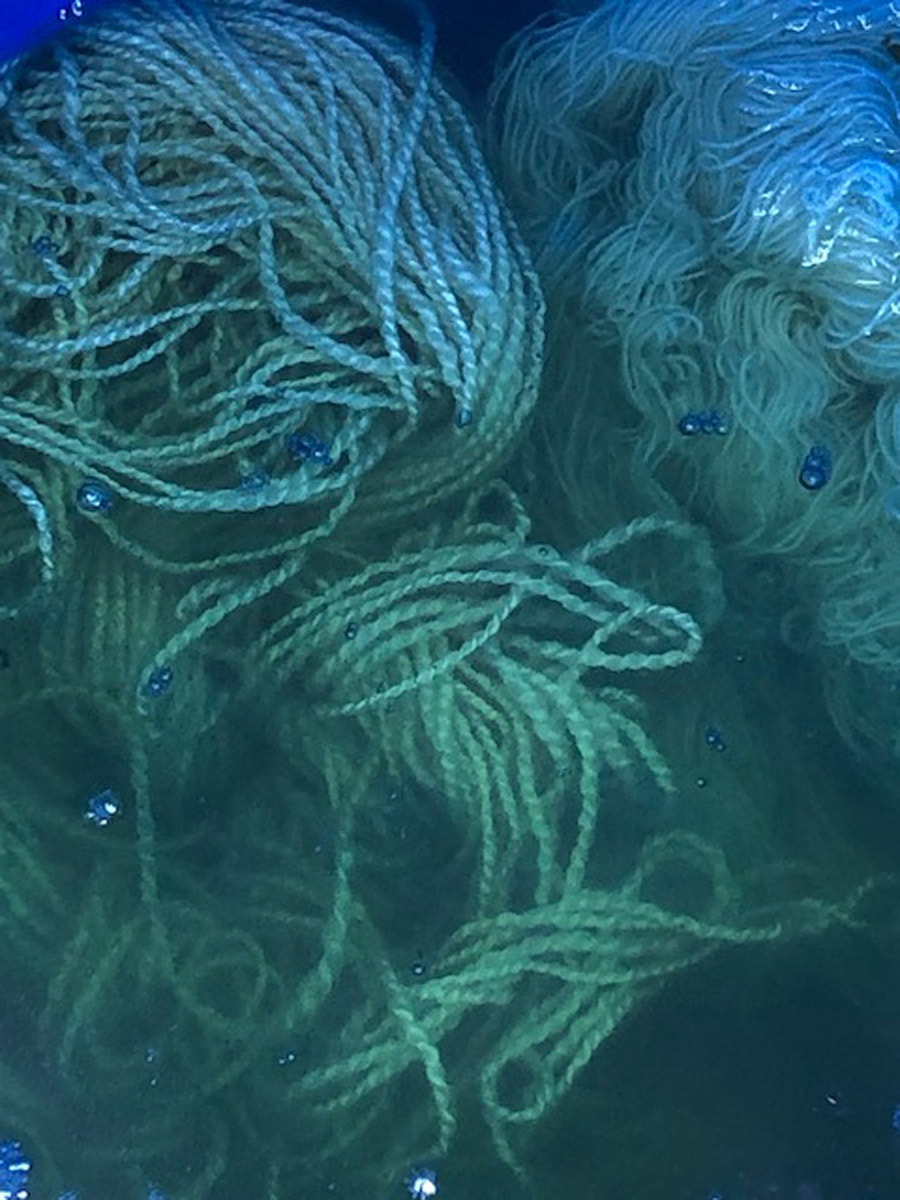 Indigo Magic